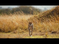 Visore Notturno - Binocolo per Visione Notturna 5K per Adulti, Binocolo a Infrarossi Ricaricabile da 5000mAh
