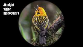 Monoculare per visione notturna di alta qualità 4K