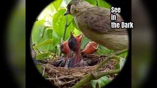 Osservazione degli occhiali per la visione notturna Hondigi